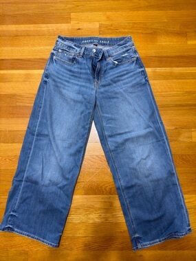 American Eagle Outfitters Medium Blue Wide-Leg Jeans